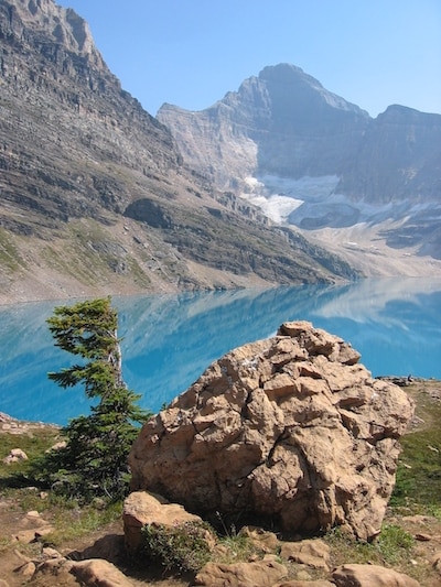 Hiking at Lake O’Hara, Joel’s on Instagram, Grizzly #142, Free “Thank You” Hikes, and More…