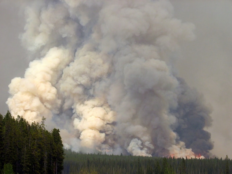 Prescribed fire at the Saskatchewan Crossing in 2009